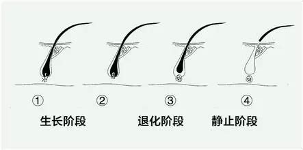 光頭洗頭|3個關於光頭的迷思？！舒敬容中醫師帶大家來破解！